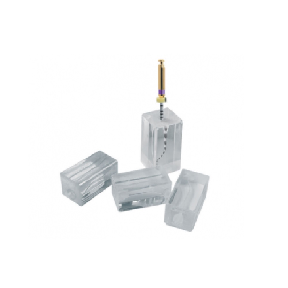 Endo Training résine Transparents courbes  (10)