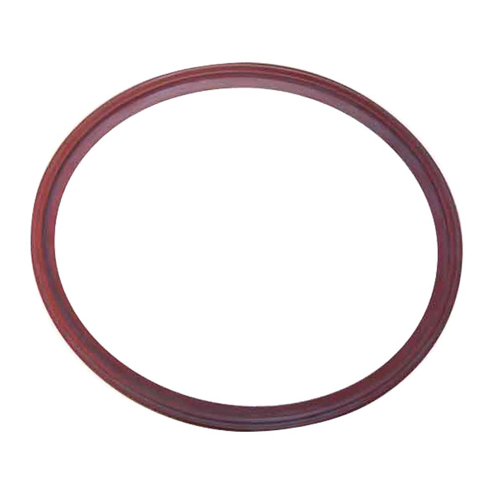 Joint De Porte Pour Stérilisateur LISA MB