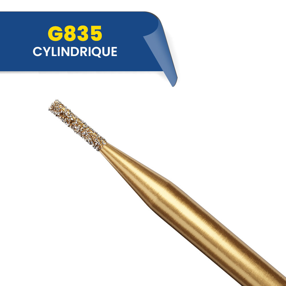 835 - Fraise diamantée cylindrique (bte de 5)