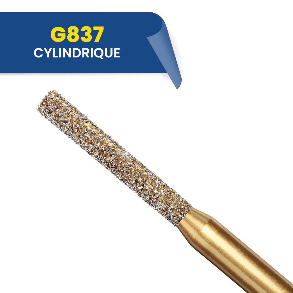 Fraises diamantées cylindriques G837