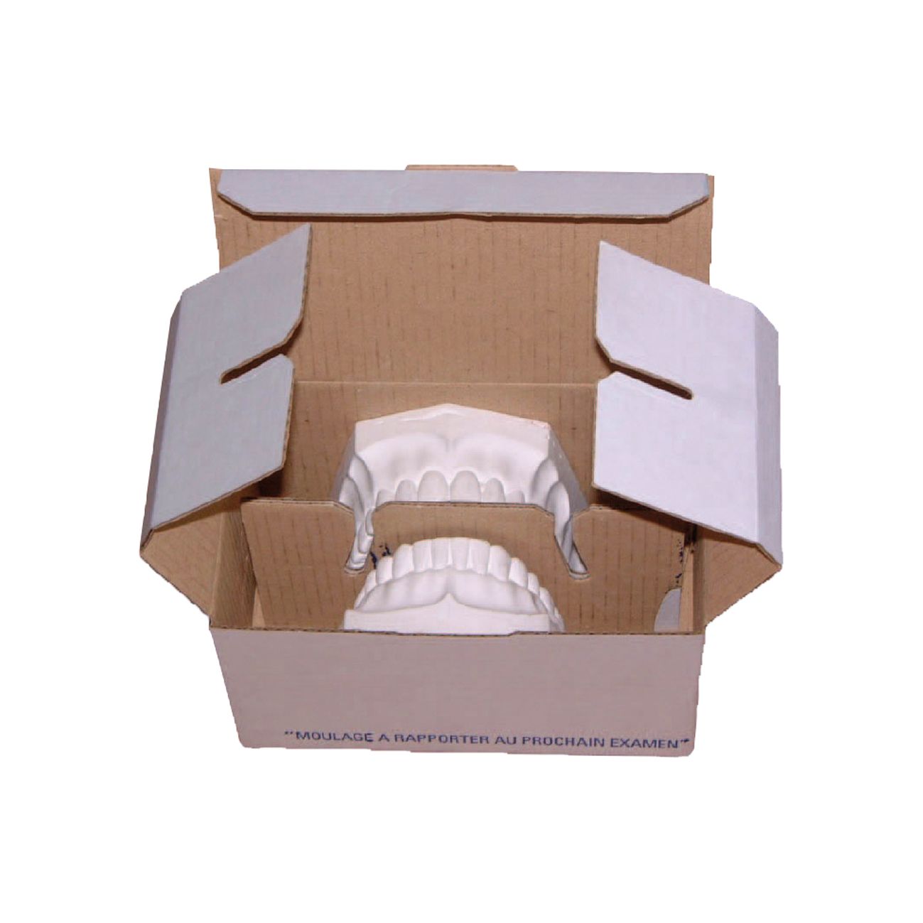 Boite pliable de transport Dentobox Le lot de 250