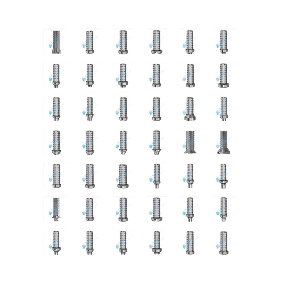 Pilier Provisoire DESS