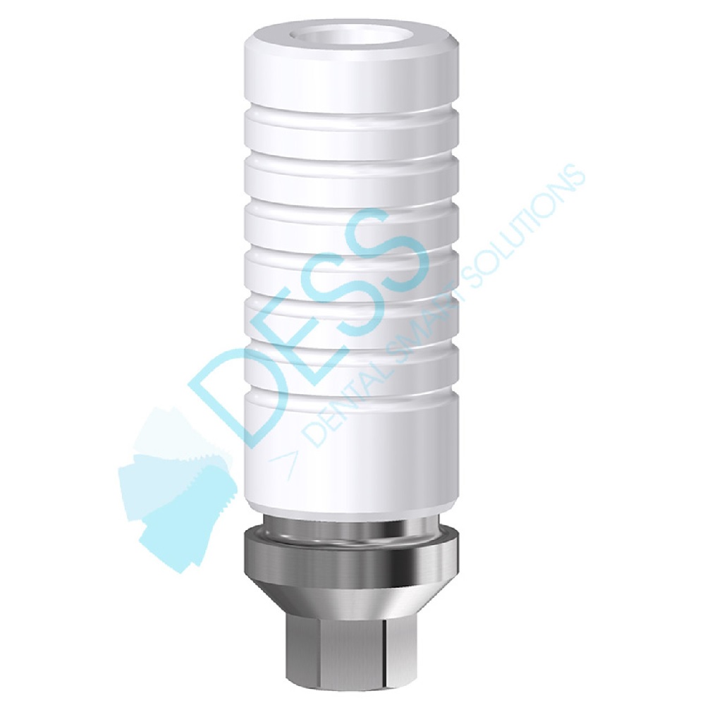 CRCO BASE ANTI ROTAT.NP INCL.COIFFE HEX INT  31017