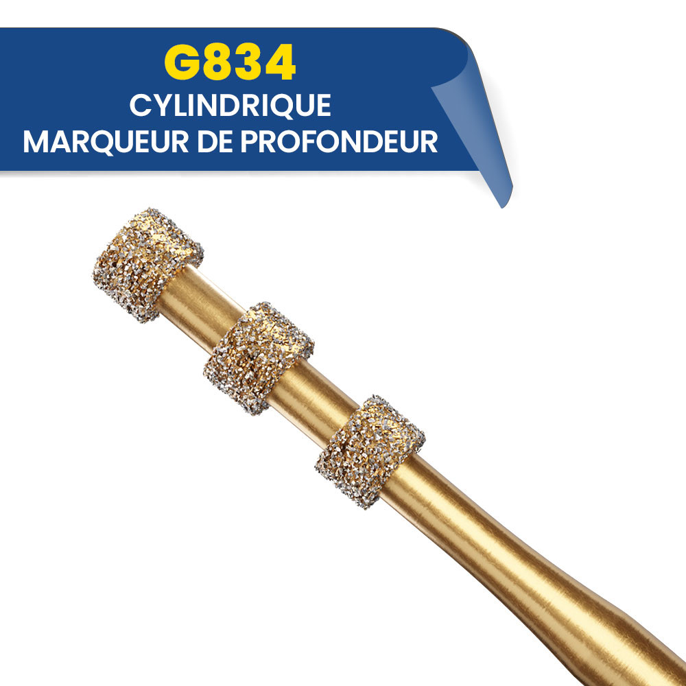 Fraises diamantées cylindriques marqueur de profondeur G834