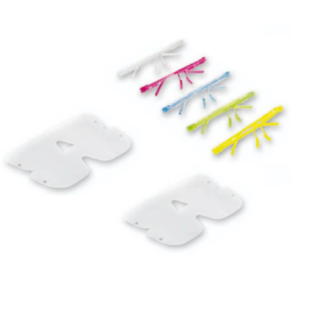 Monture et visières R58