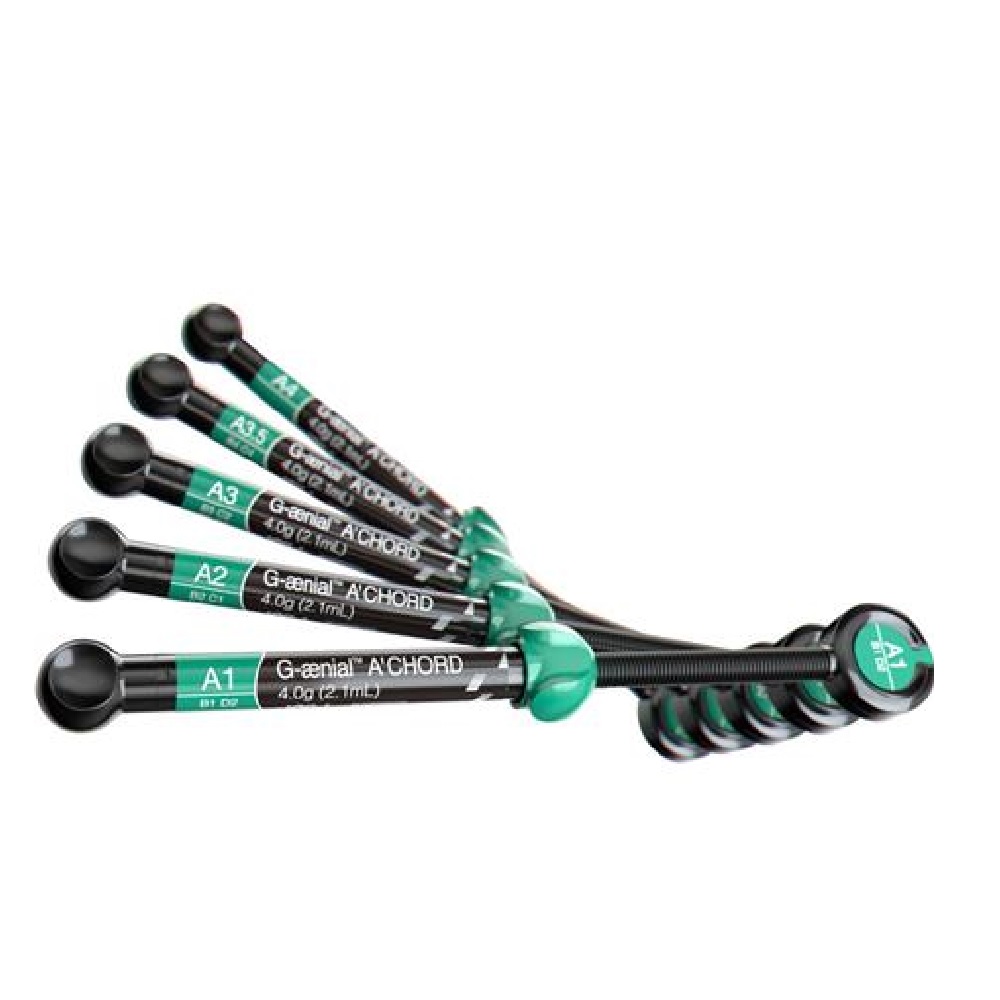 G-AENIAL A'CHORD SERINGUES