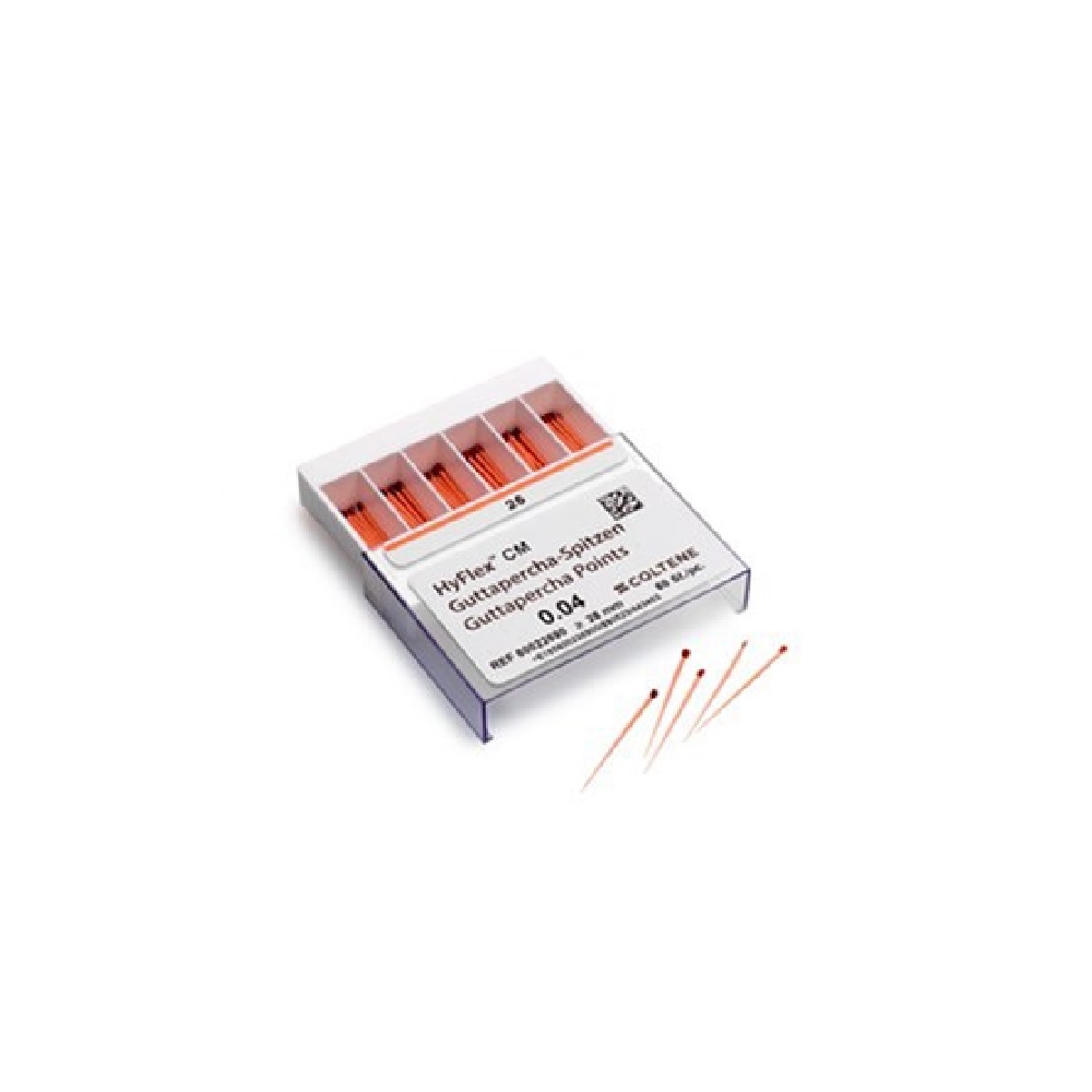 Pointe De Gutta Hyflex CM 30/06  