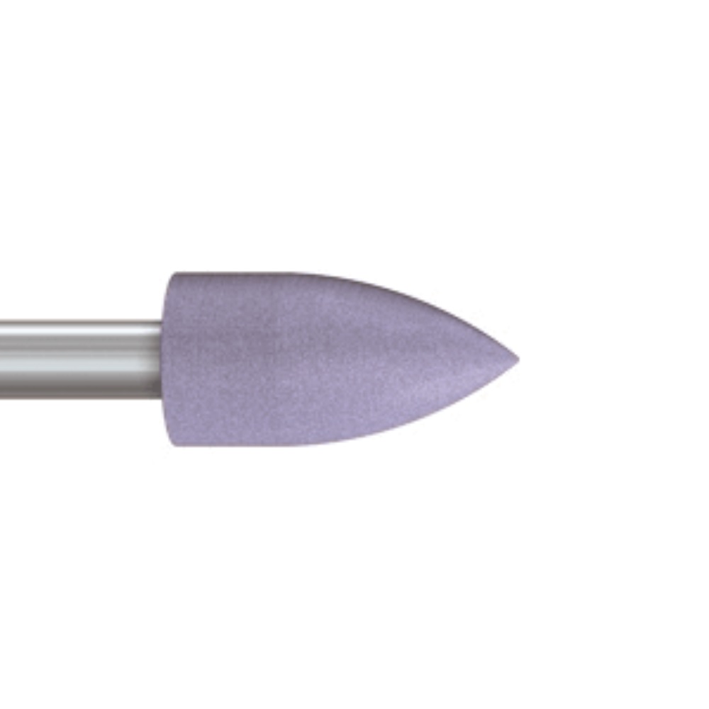 Polissoirs 9498-204-050 (10) 