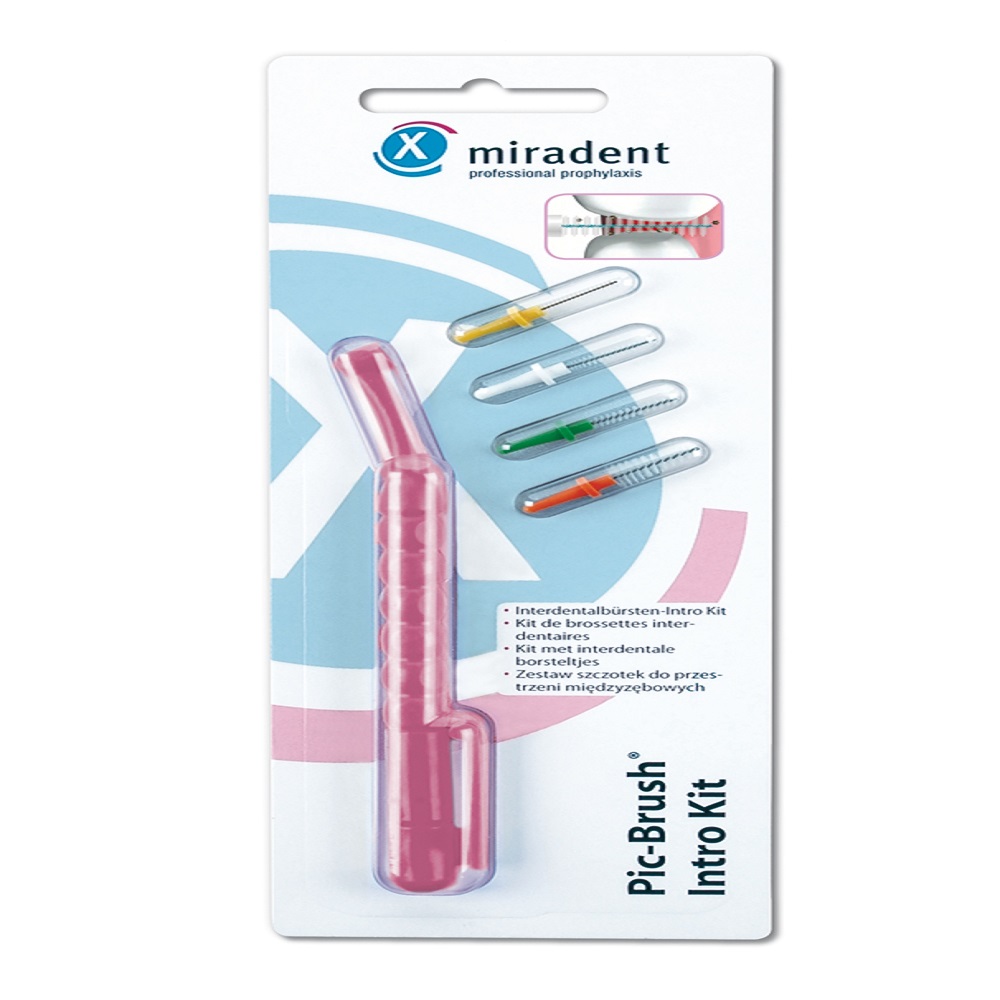 Kit Introduction Pic Brush Rose   630006    