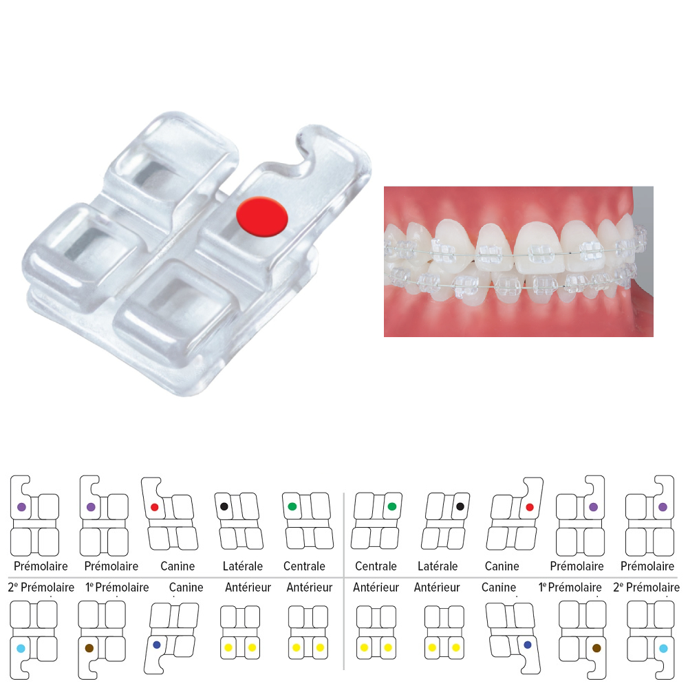 Brackets Pure Methode Roth (Kit Patient)