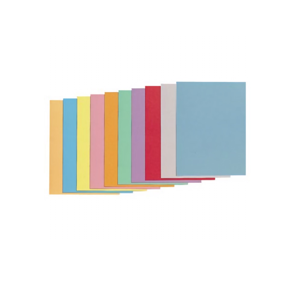 Pochettes Recyclables Coloris Assort