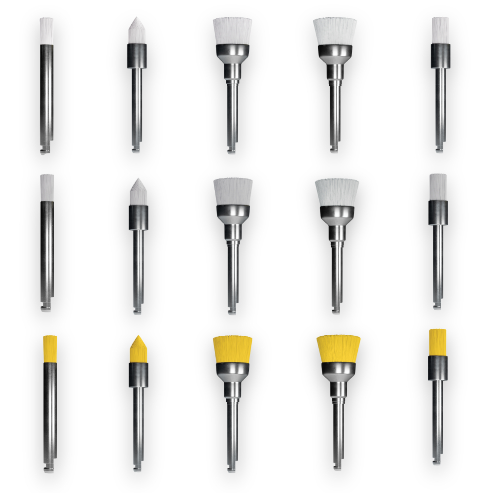 Brossette de prophylaxie 