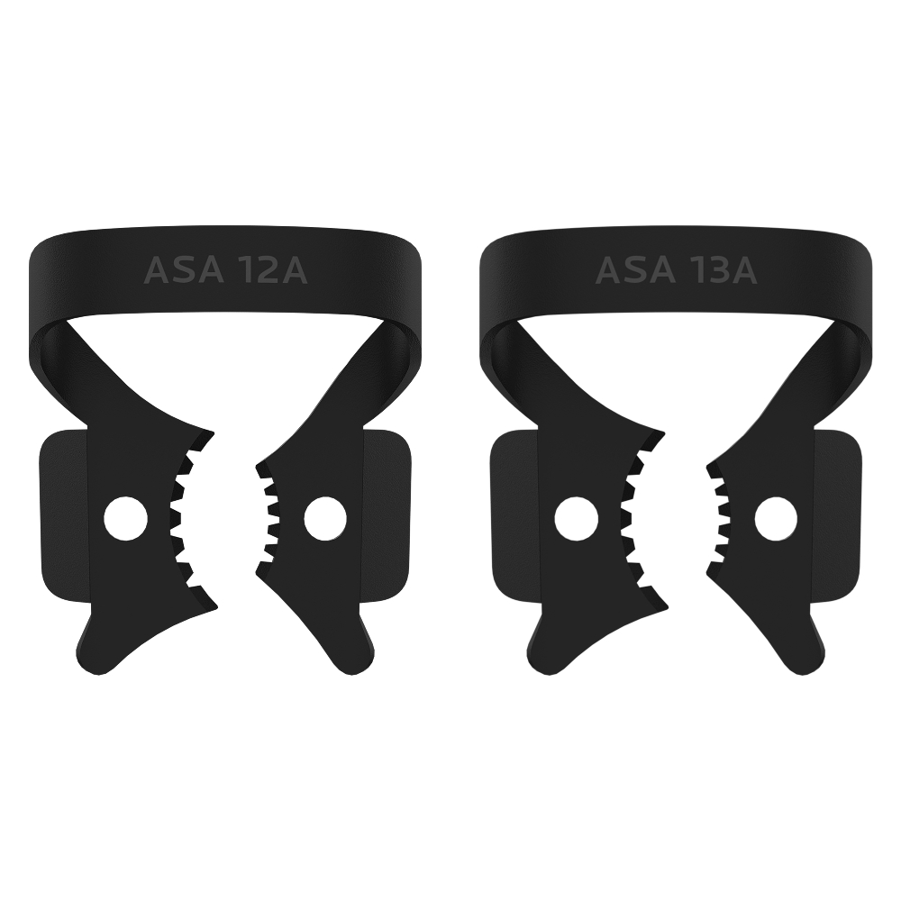 Crampon à mors dentelé molaire