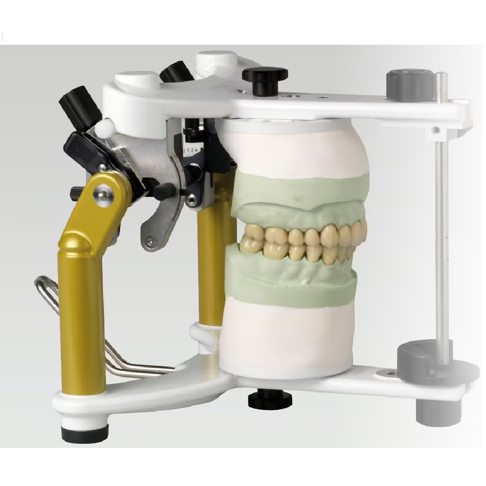 Articulateur Stratos 300 