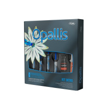 Opallis kit intro basic de 4 seringues de 4g (teintes émail)