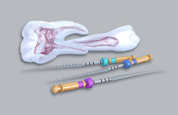 Category Endodontie - mat&eacute;riel canalaire
