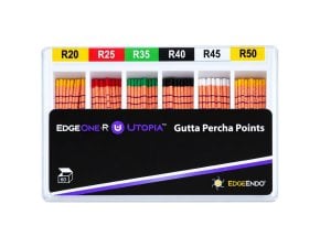 Pointes gutta percha EdgeOne R - boîte de 60