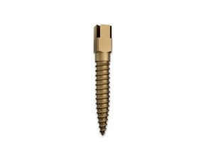 Screw-Posts Surtex dorés (bte de 15)