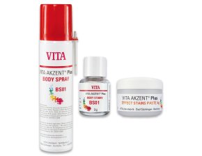 AKZENT PLUS PASTE