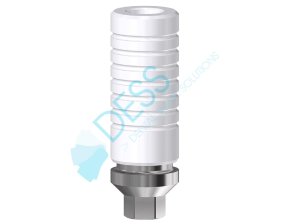 CRCO BASE ANTI ROTAT.NP INCL.COIFFE HEX INT 31017