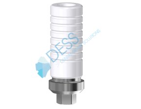 Cobalt Chrome Base Anti Rotation RP Incl Coiffe Hex Internal
