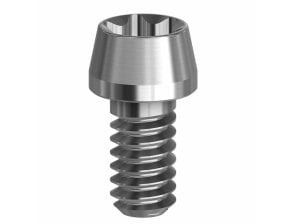 Pack de 10 vis Torx - 19.069-P10