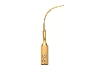 Insert P16L nitro gold