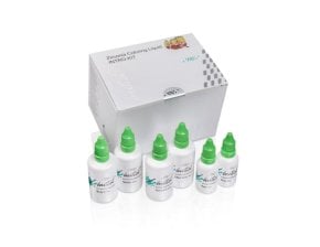 Kit initial zirconia coloring liquid, 250g