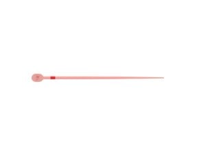 Pointes Gutta Trunatomy prime - 60 pcs