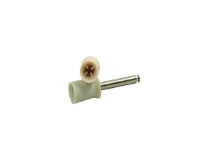 Prophy Cups Latch Type