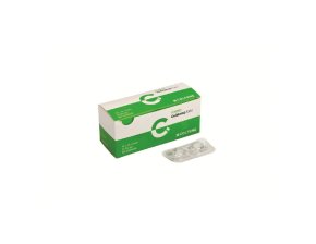 Eponge Gelatamp Forte (24)