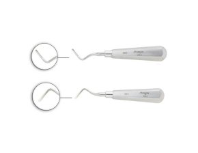 ELEVATEUR APICAL