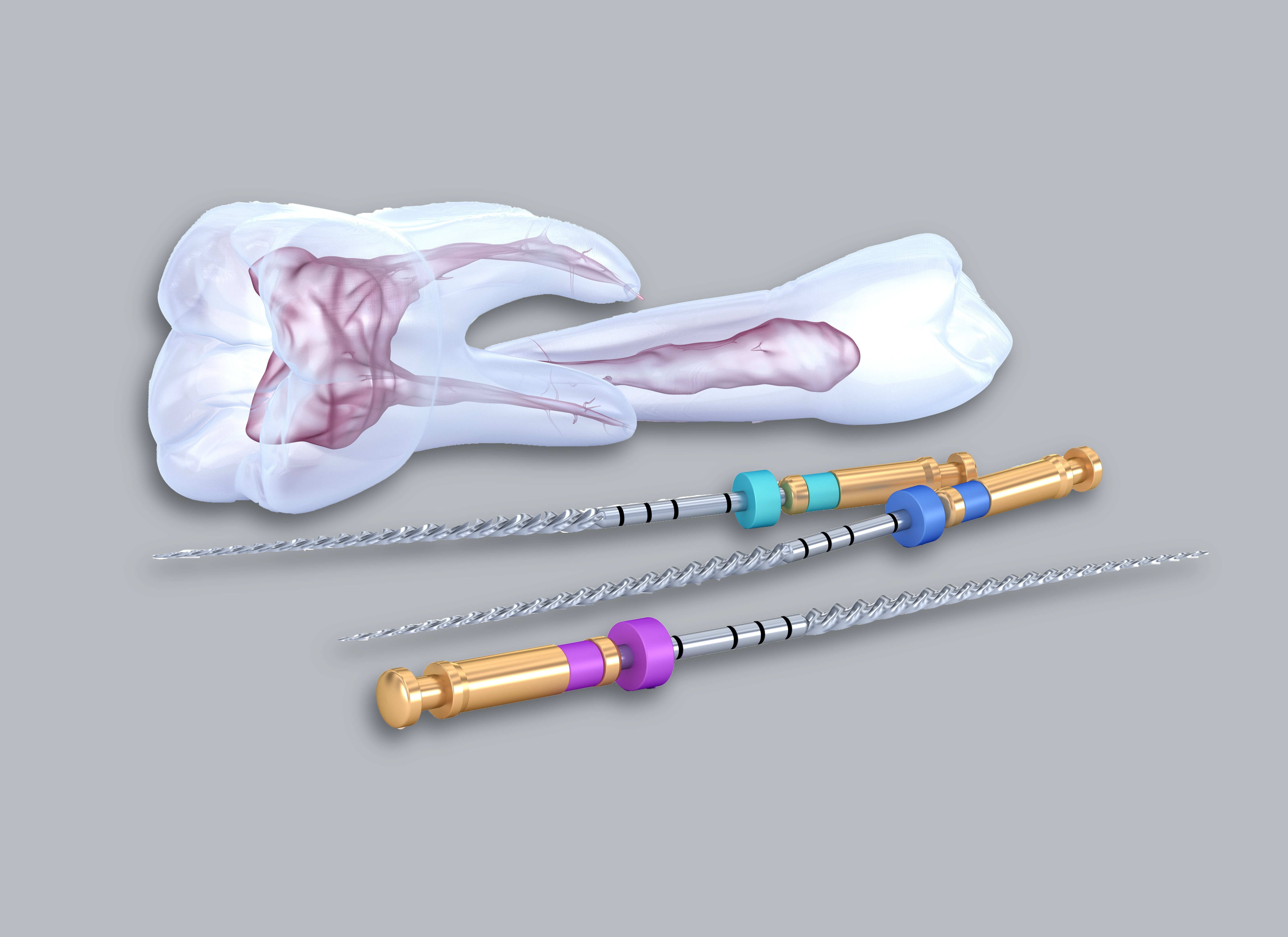 Endodontie